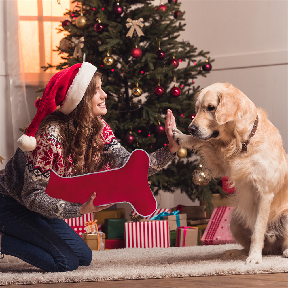 Kadife Köpek Noel Çorabı Kemik - Luxury Xmas Bags incelemesi ve fiyatı